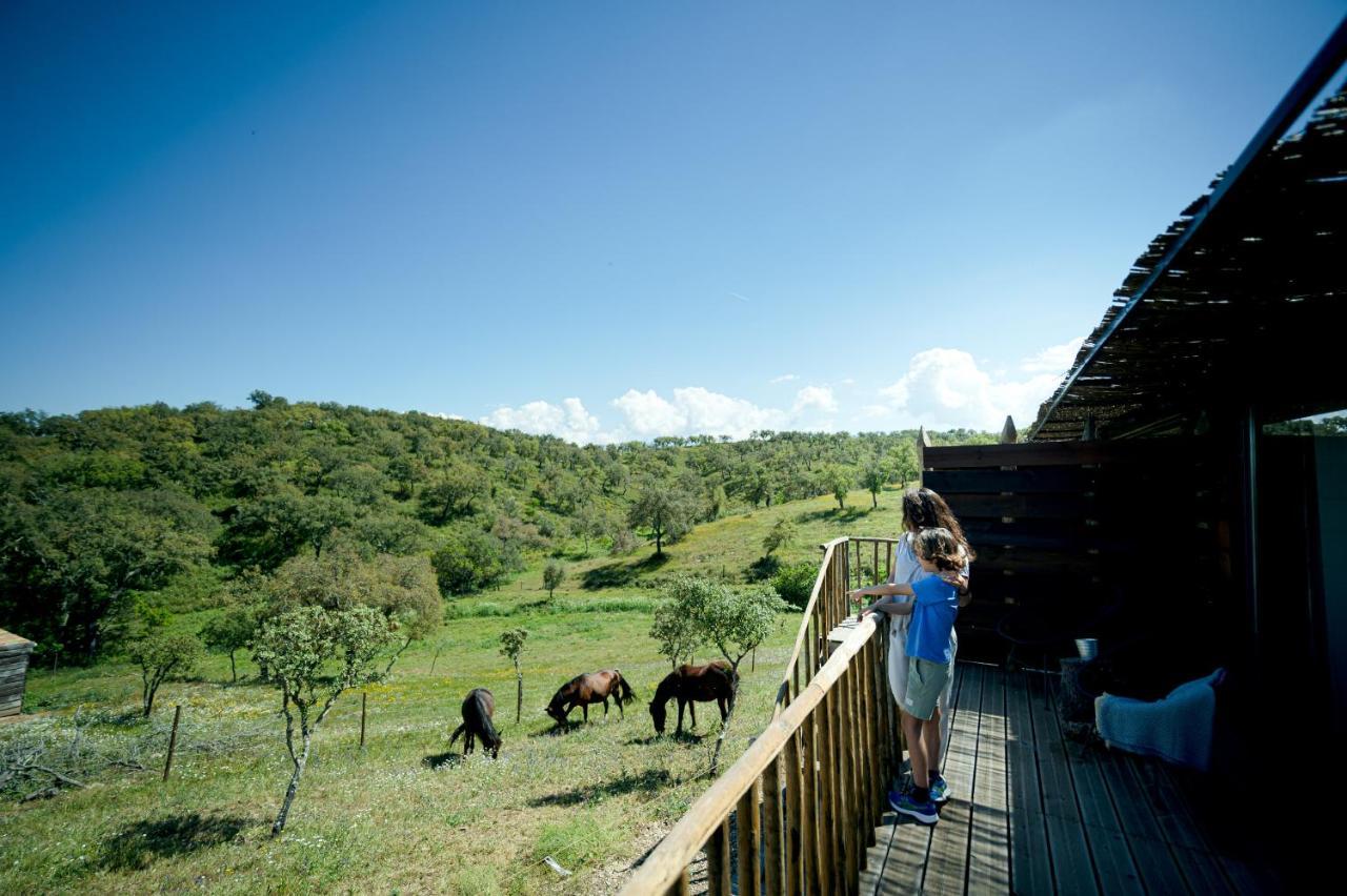 Monte Gois Country House E Spa Curvatos Экстерьер фото