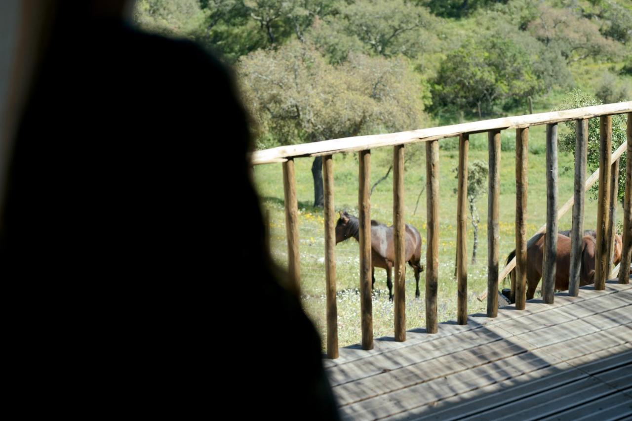 Monte Gois Country House E Spa Curvatos Экстерьер фото