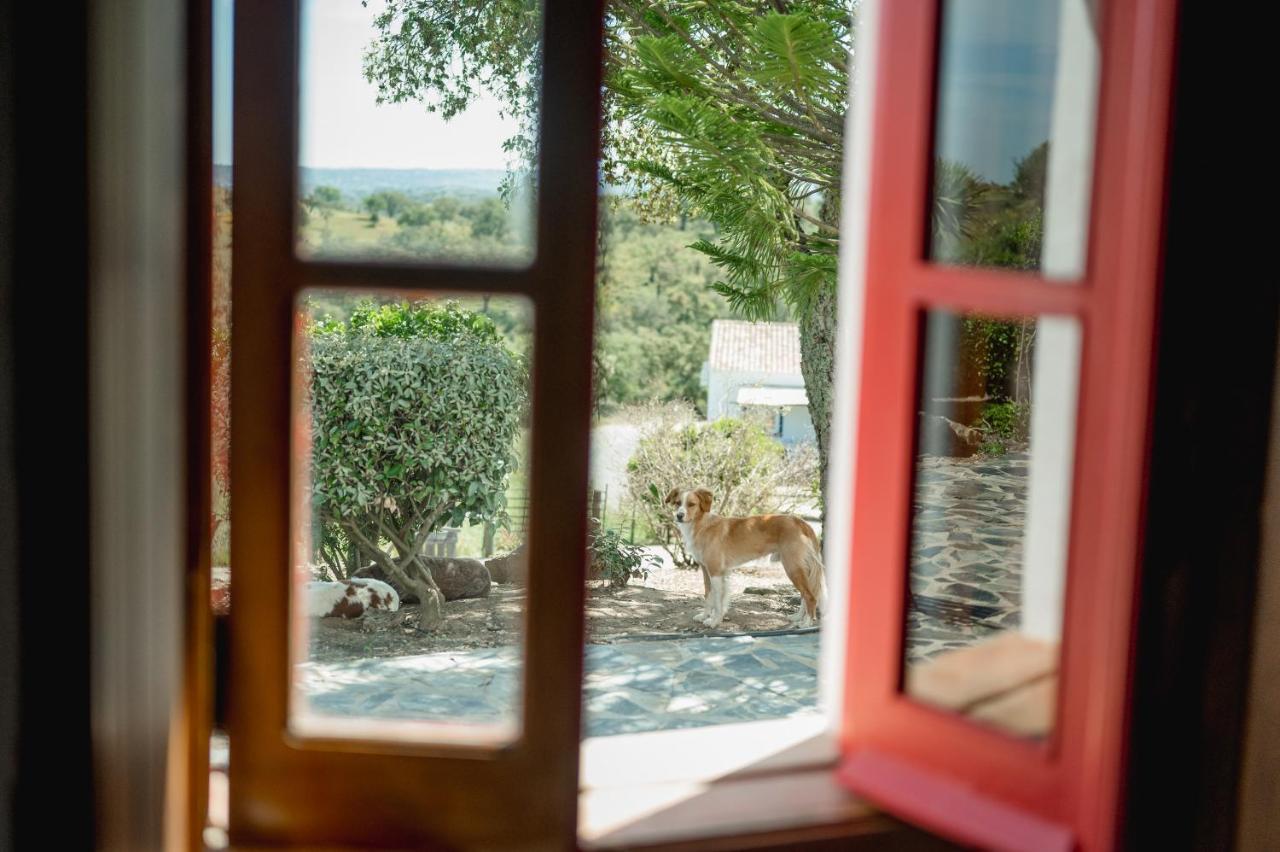 Monte Gois Country House E Spa Curvatos Экстерьер фото