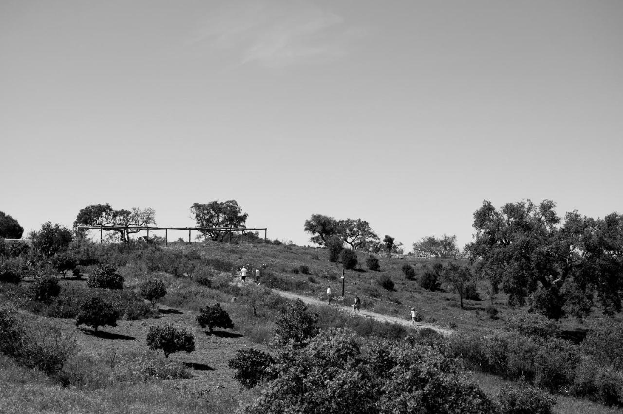 Monte Gois Country House E Spa Curvatos Экстерьер фото